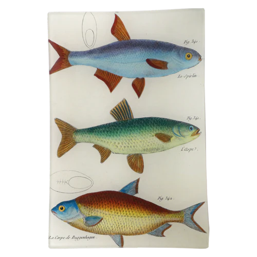 3 Fish Planche 82 6 x 9" Rect. Tray