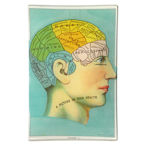 Phrenology Head 6 x 9" Rect. Tray