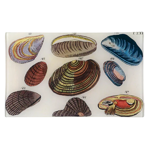 Clams 7 x 11.5" Rect. Tray