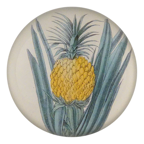 Ananas Dome Paperweight