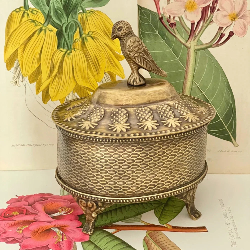 Selva Pajaro Trinket Box Brass