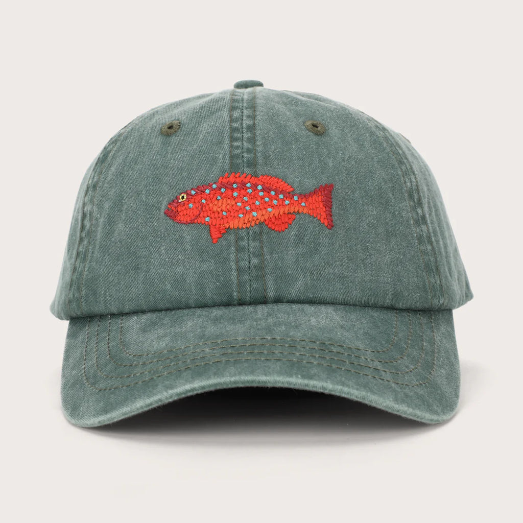 Fish Lids - Coral Trout Lid