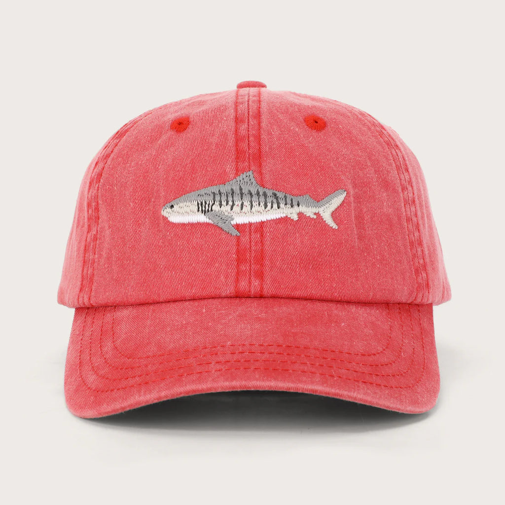 Fish Lids - Tiger Shark Lid