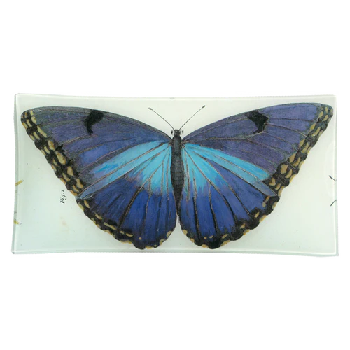 Blue Butterfly 6 x 12" Pencil Tray