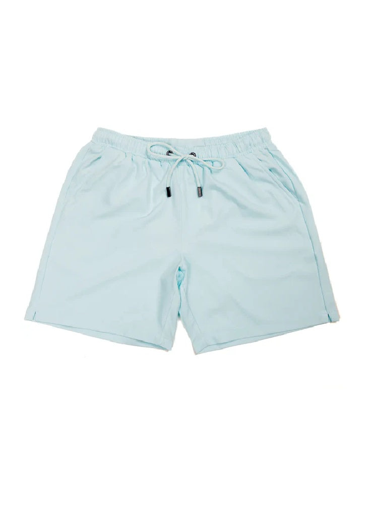 Mens Mint Swim Shorts