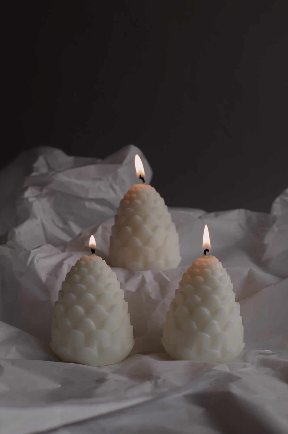 Christmas Pine Cone Candle