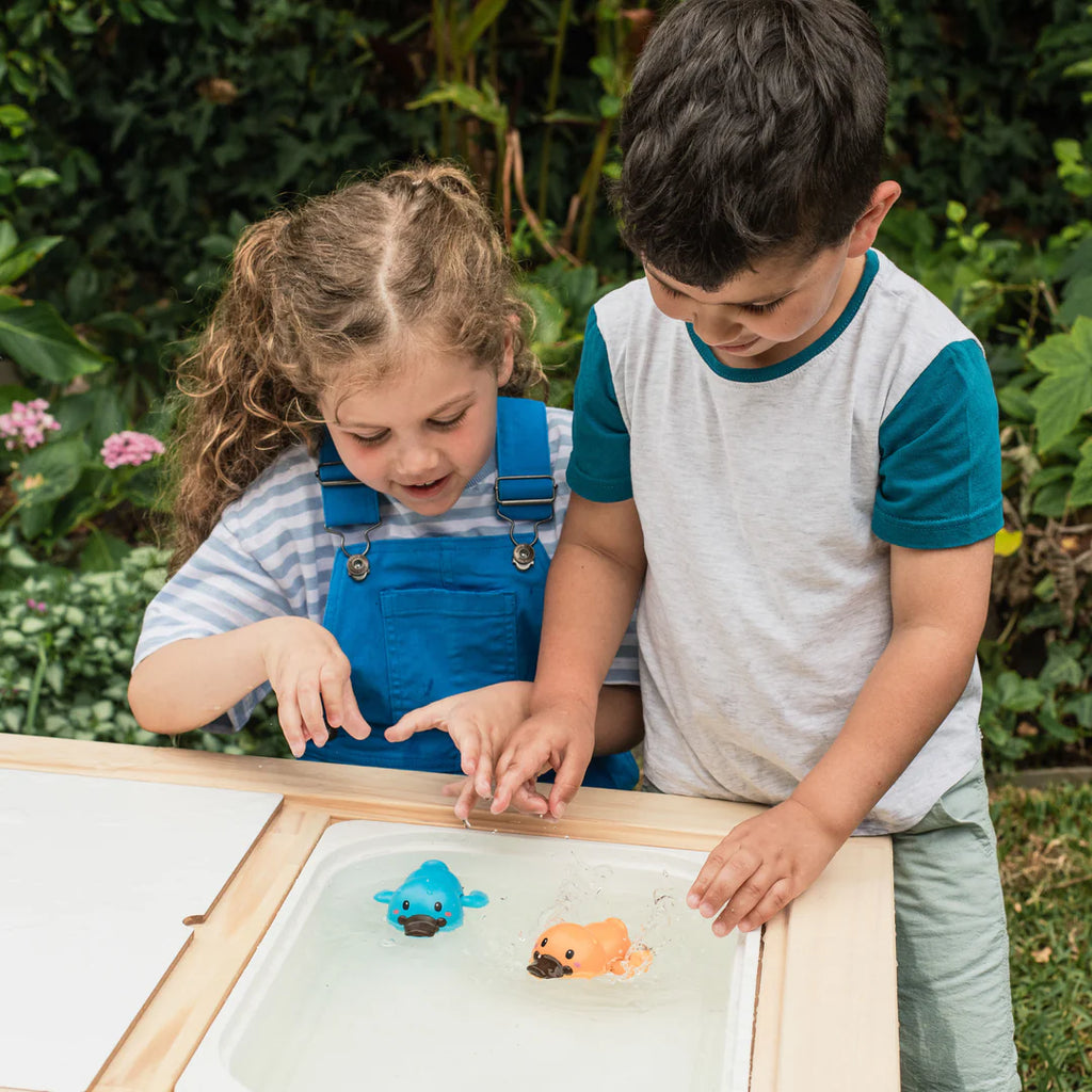 Bath Racers Platypuses