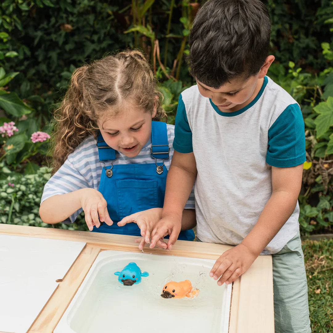Bath Racers Platypuses