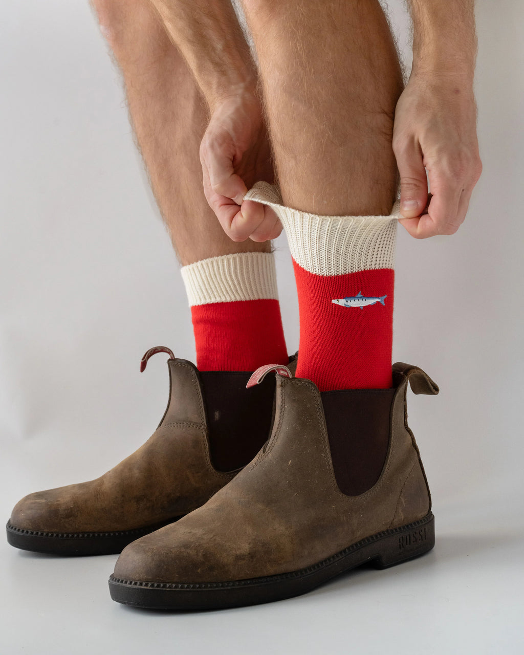 Sardine Fish Socks