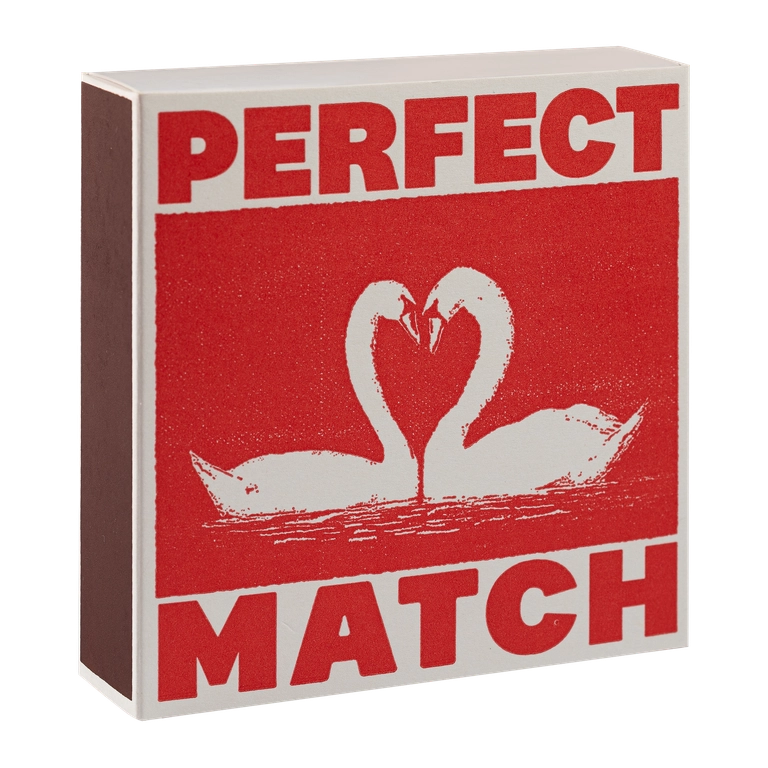 I Like You Swan Matches