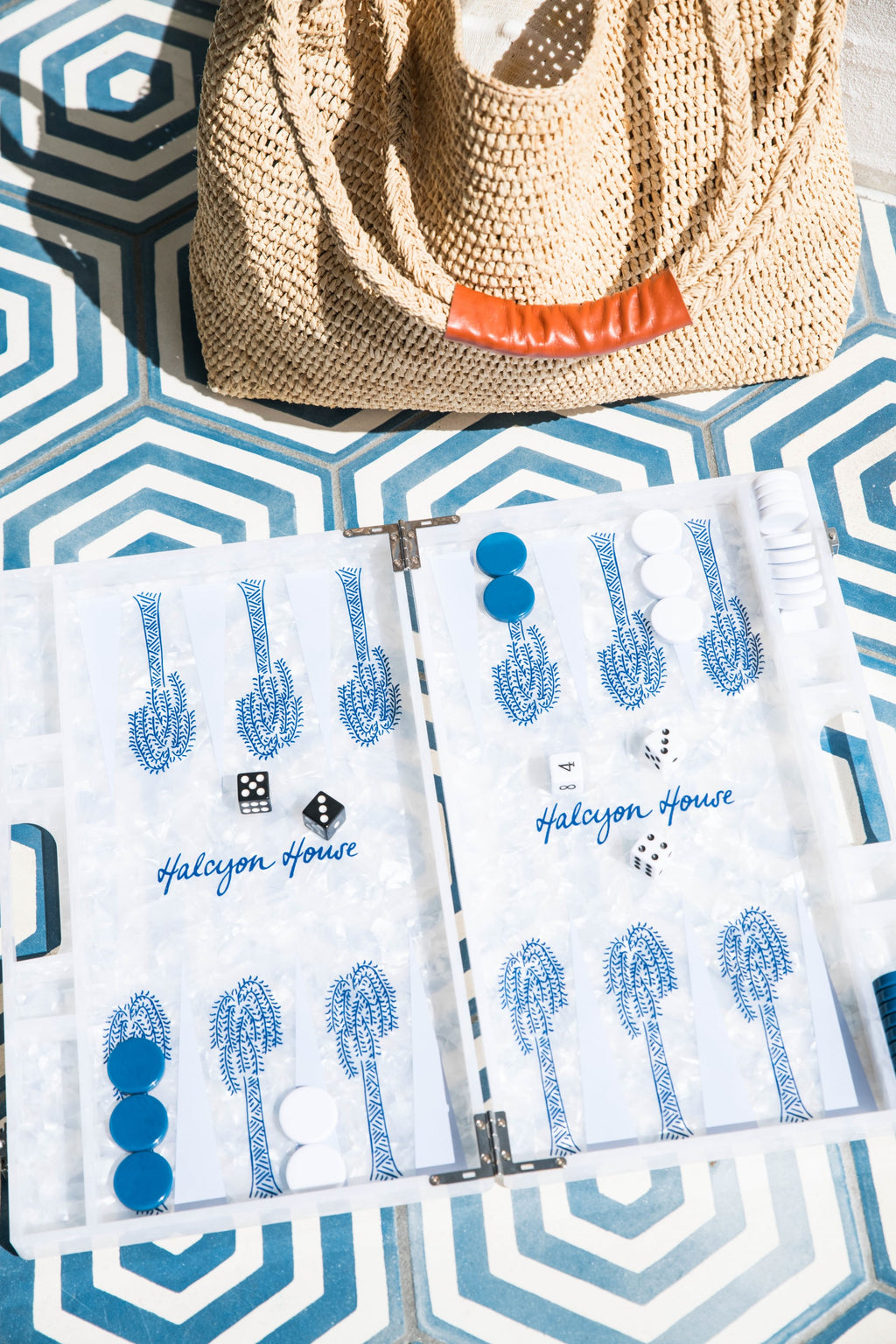 Custom Halcyon House Backgammon Set